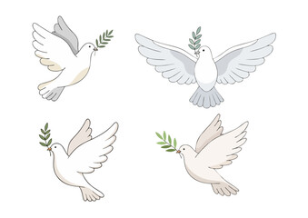 White dove with outstretched wings and olive branch in beak, symbolizing peace and harmony on clean white background
