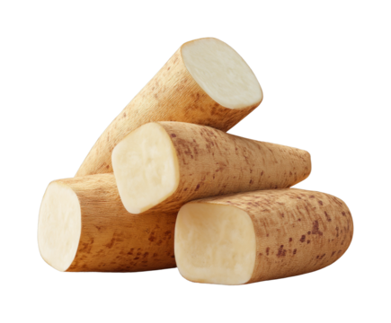 Freshly cut cassava logs stacked in a pile