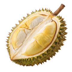 Fototapeta premium durian isolate white background