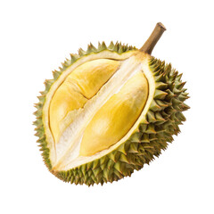Fototapeta premium durian isolate white background