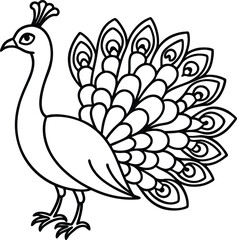 Fototapeta premium vector illustration of a peacock