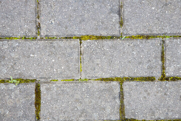 Close-Up of Stone Pavement With Grass and Moss Detail