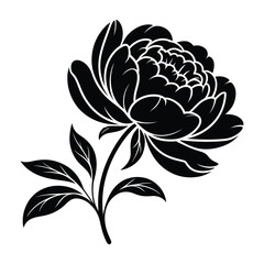 Obraz premium Elegant Single-Stroke Peony Floral Frame Silhouette, Vector, Illustration, Icon, Logo, White Background.