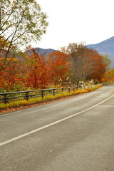磐梯吾妻レークライン（福島県）