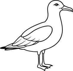 Obraz premium duck isolated on white background