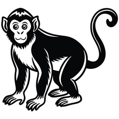 Obraz premium Black and white monkey illustration of a primate standing in simple vector style