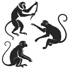 Obraz premium Collection of black silhouetted monkeys in different poses on a white background