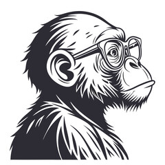 Intellectual chimpanzee wearing glasses representing wisdom and intelligence conceptual design