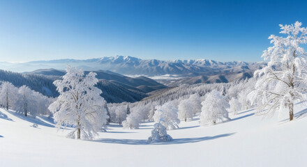 Snowy Mountain Landscape with Pristine White Trees and a Clear Blue Sky Vista