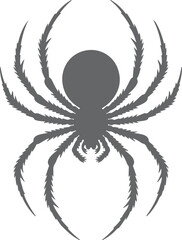 Gray Spider Silhouette Detailed Legs Eight Legs Arachnid Insect Design Element Graphic Vector Illustration