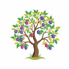 Plum Tree with Ripe Fruits and Green Leaves &ndash; Colorful Fruit Tree Illustration on White Background