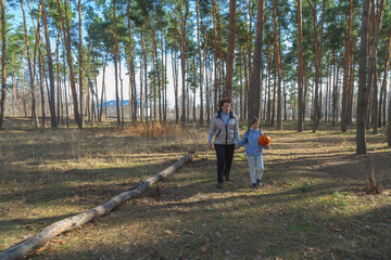 Obraz premium Grandmother and granddaughter walking in forest holding sports ball on sunny day