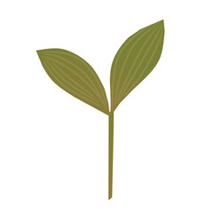 Vector Illustration of Young Plant Sprout with Two Green Leaves. Ideal for eco-friendly designs, agriculture projects, botanical themes, gardening visuals, environmental campaigns, and educational