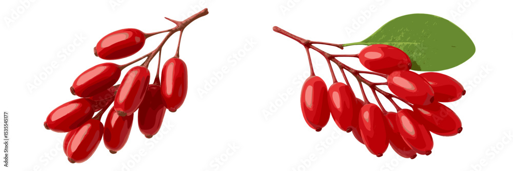 Poster bright red berries on branches with green leaves displayed on a white background