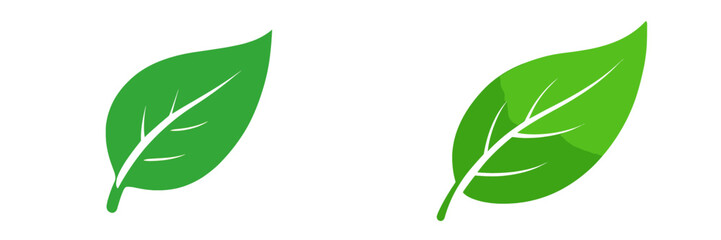 Two green leaves with detailed veins on a white background showcasing nature's simplicity and beauty