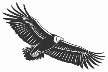 condor bird sihouette black vector 