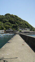 漁港と釣り人