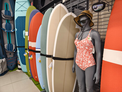 A collection of various surfboards are neatly lined up in a store - Powered by Adobe