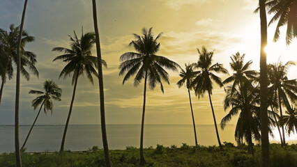 Sea and coconut palm trees at sunset