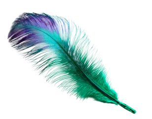 Teal and Purple Feather