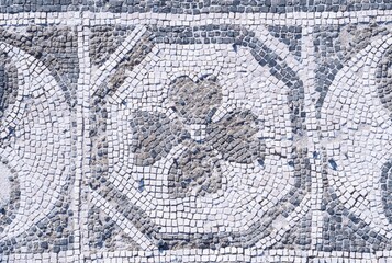 Roman Mosaic Pavement with Clover Motif in Herculaneum
