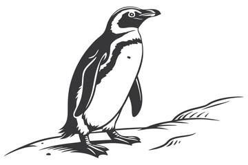 Obraz premium Penguin Vector Illustration Standing Alone as Graphic Clipart