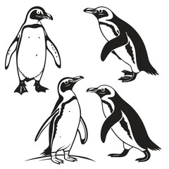 Naklejka premium Black and white vector illustration of four playful penguins in different poses