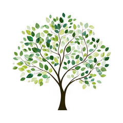 Obraz premium Tree leaf green isolated transparency background nature plant