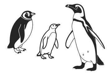 Obraz premium Penguin Family Vector Illustration Clipart Set