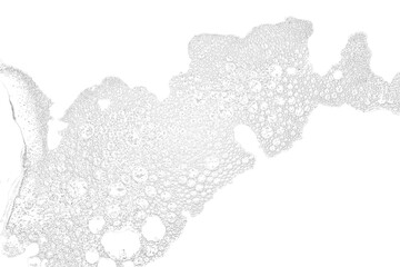 Foam bubbles in white colour isolated png transparency