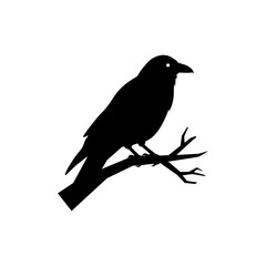 Crow on Branch Silhouette for a Mysterious and Dramatic Look