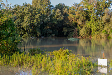 Sunset on a flooded river. flooded area, floodplain
