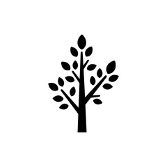 Obraz premium Tree Branches with Leaves for Natural Beauty and Growth