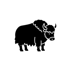 Yak with Thick Fur, Himalayan Mountain Animal