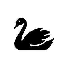 Swan Swimming Gracefully in Calm Lake Nature Wildlife Scene