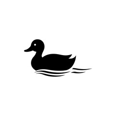 Swimming Duck with Water Trail in Natural Habitat