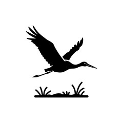 Stork Flying Over Marshland Wildlife Bird in Natural Habitat