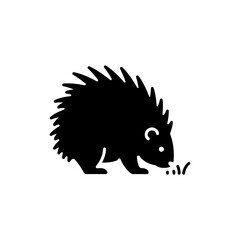 Porcupine Sniffing Ground Wild Animal Investigating Natural Habitat