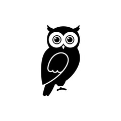 Owl perched with large eyes staring intently in natural forest setting