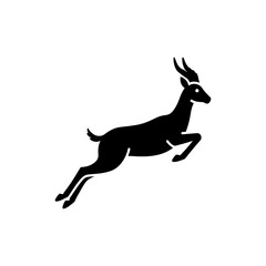 Gazelle Mid Jump Agile Wildlife Animal in Natural Grassland