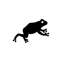 Frog Leaping Mid-Air Dynamic Wildlife Action in Natural Habitat