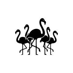 Flamingo Group Standing Still Nature Bird Wildlife Icon