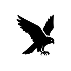 Falcon Diving Fast in Air Hunting Prey with Sharp Focus