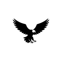 Eagle in Flight with Talons Extended Ready to Catch Prey