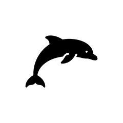 Dolphin Leaping Through Hoop in Water Performance Scene