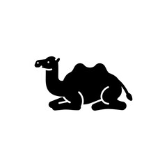 Camel Resting with Legs Folded Desert Animal Relaxing in Natural Habitat