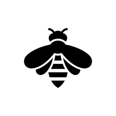 Bee with Striped Abdomen Close-up Pollinator Insect Detail