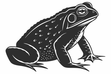 Fototapeta premium toad sihouette black vector 
