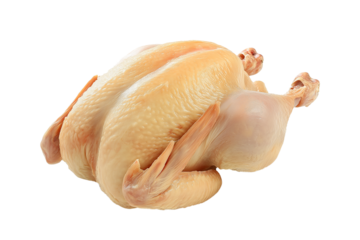 Fresh whole raw chicken ready for cooking isolated on transparent background