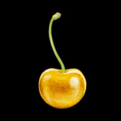 cherry digital waterolor stock illustration